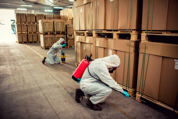 Reliable Fortuna Foothills, AZ Pest Control Solutions