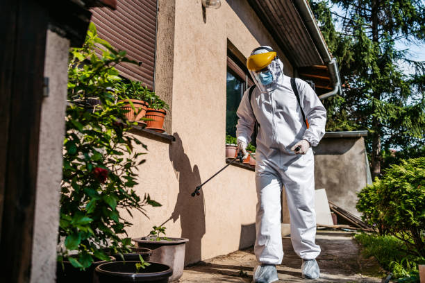 Wasp Removal Services in Fortuna Foothills, AZ