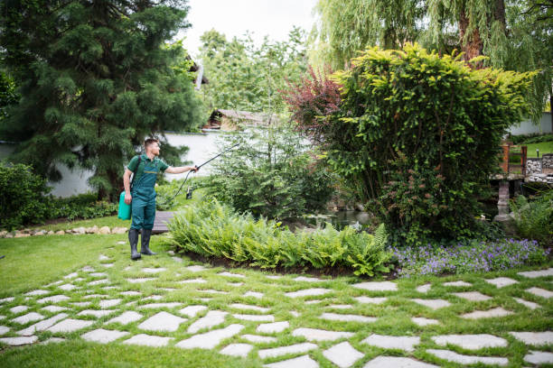 Best Wasp Removal Services  in Fortuna Foothills, AZ