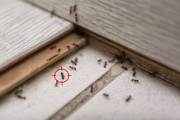 Pest Control Cost in Fortuna Foothills, AZ