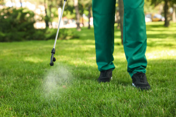 Best Exterminator Services  in Fortuna Foothills, AZ