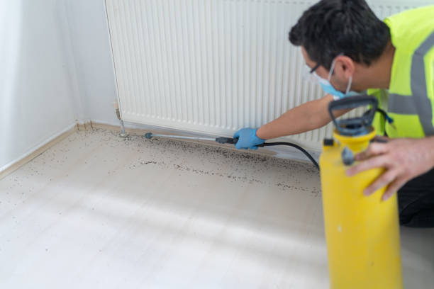  Fortuna Foothills, AZ Pest Control Pros