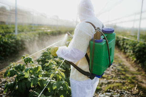 Best Cockroach Control Services  in Fortuna Foothills, AZ